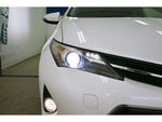 AURIS