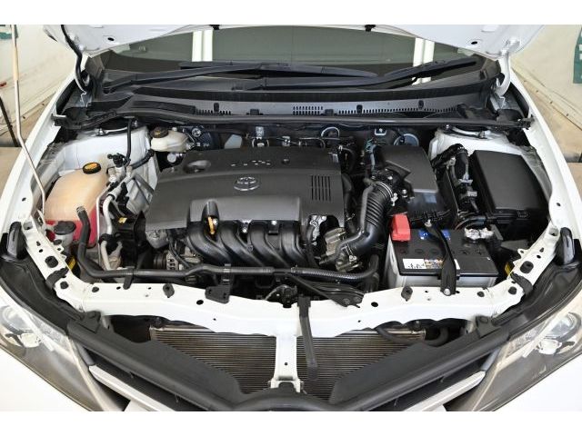 AURIS