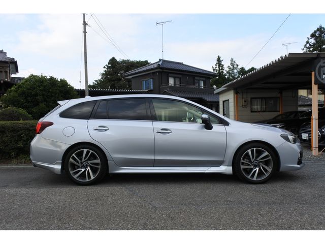 LEVORG