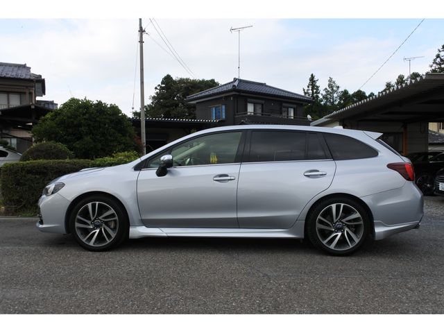 LEVORG