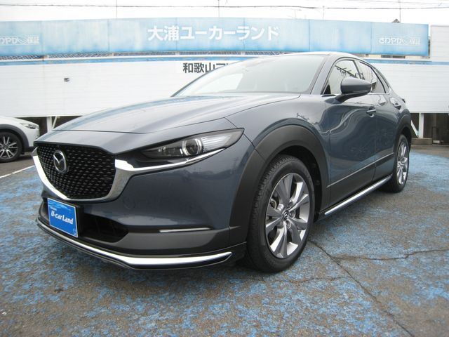 CX-30