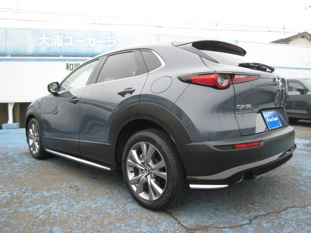 CX-30