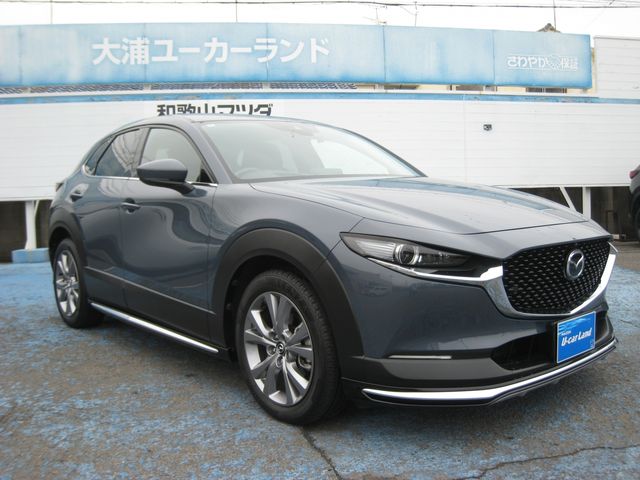 CX-30