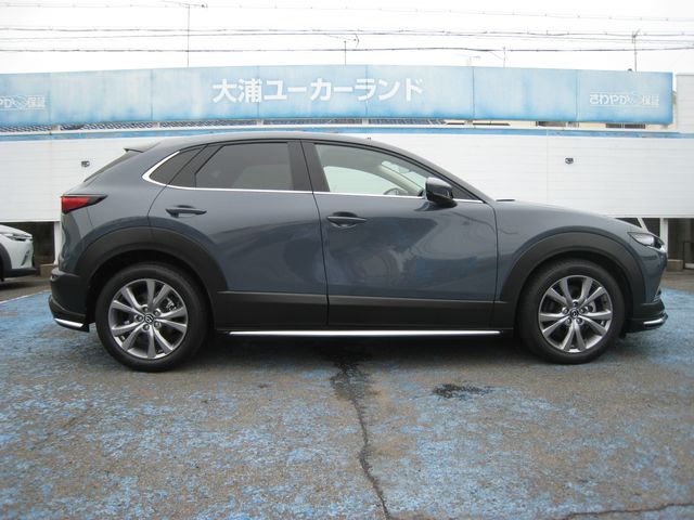 CX-30