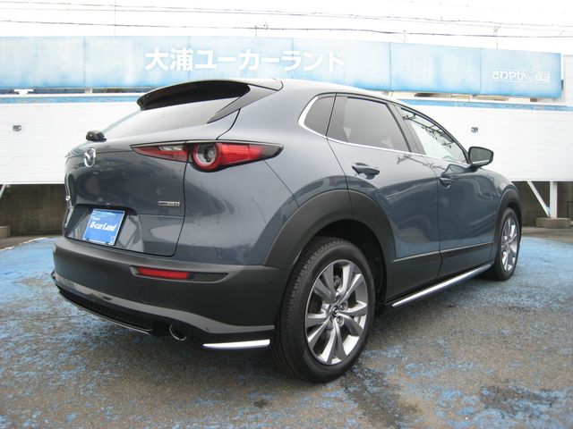 CX-30