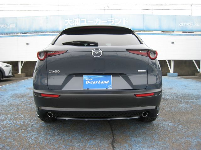 CX-30