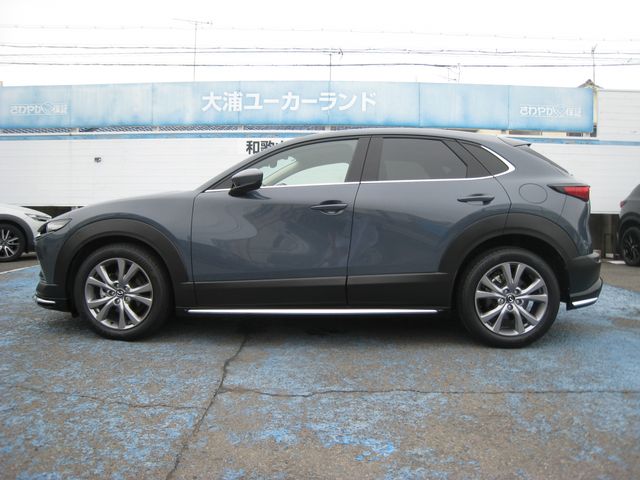CX-30