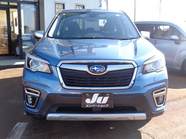 FORESTER