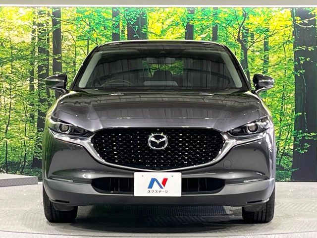 CX-30
