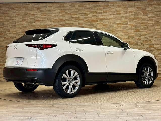 CX-30