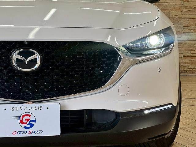CX-30