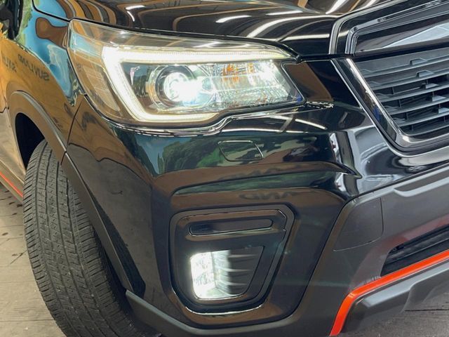 FORESTER