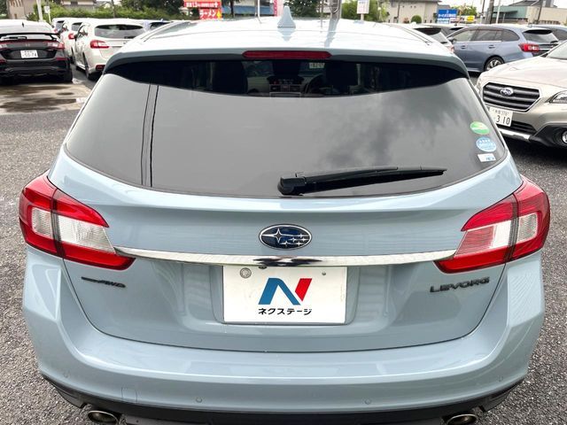LEVORG