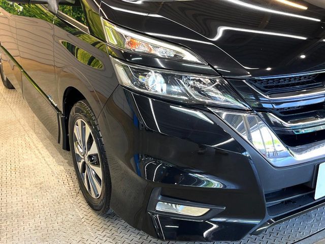 SERENA  S-HYBRID