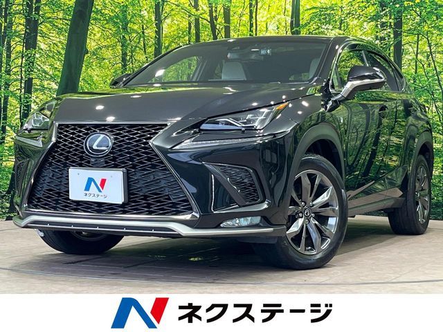 LEXUS NX300