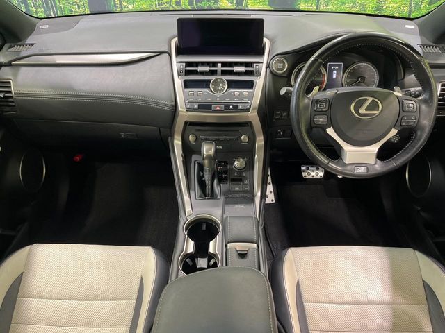 LEXUS NX300