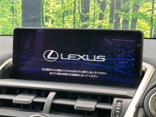 LEXUS NX300