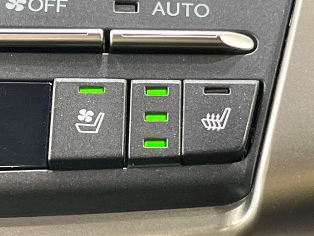 LEXUS NX300
