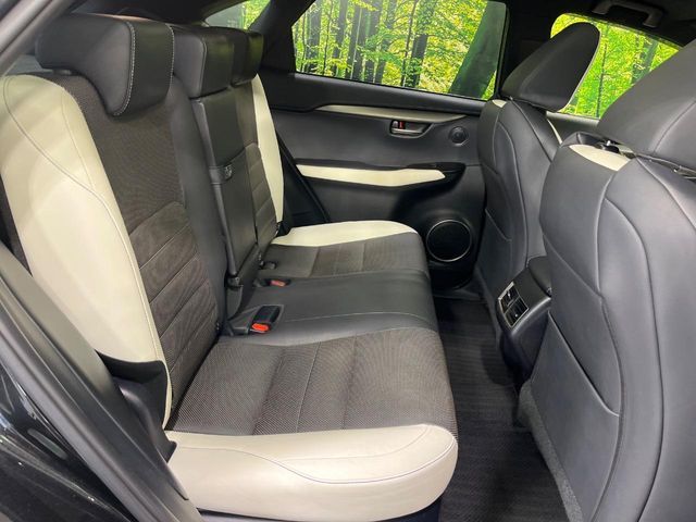 LEXUS NX300