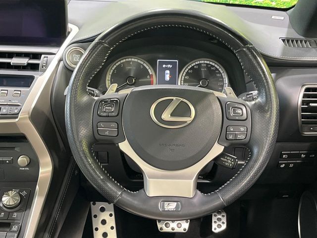 LEXUS NX300