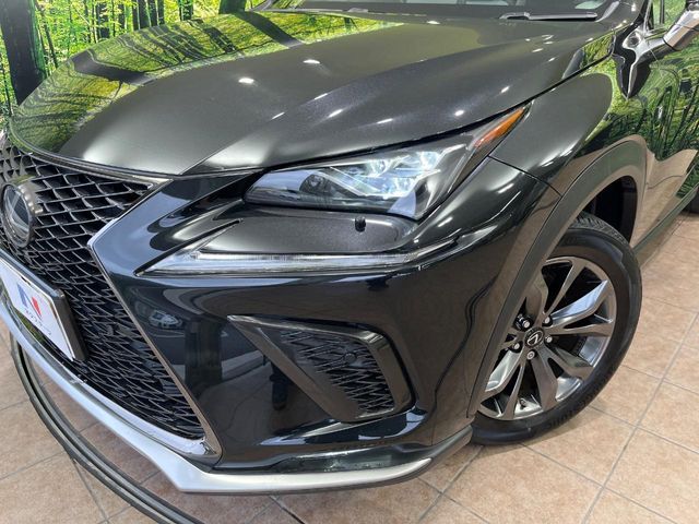 LEXUS NX300