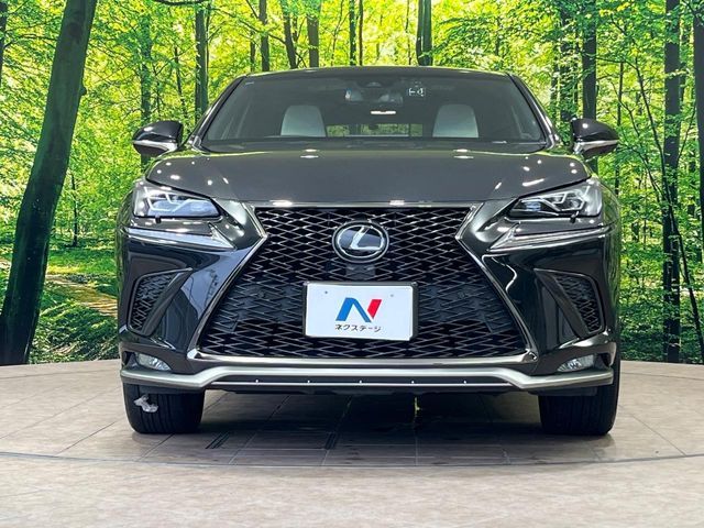 LEXUS NX300