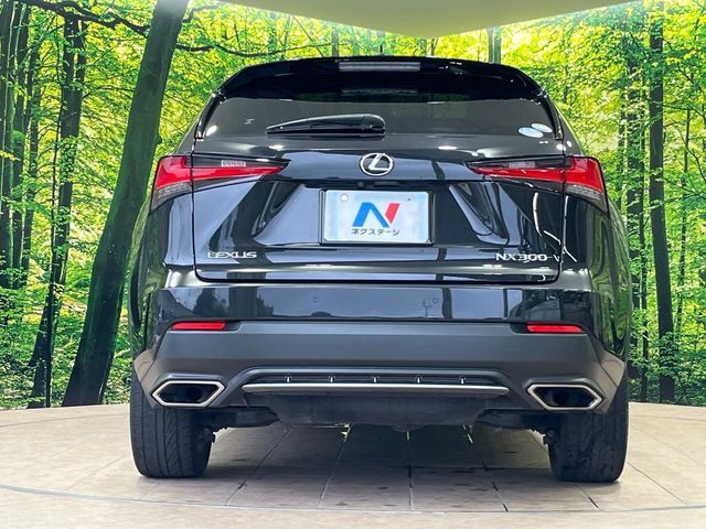 LEXUS NX300