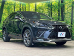 LEXUS NX300