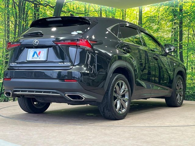 LEXUS NX300