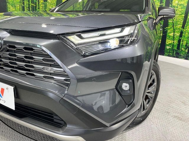 RAV4 HYBRID 4WD