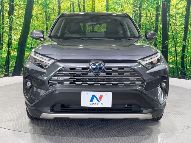 RAV4 HYBRID 4WD