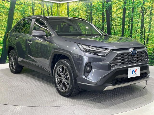 RAV4 HYBRID 4WD