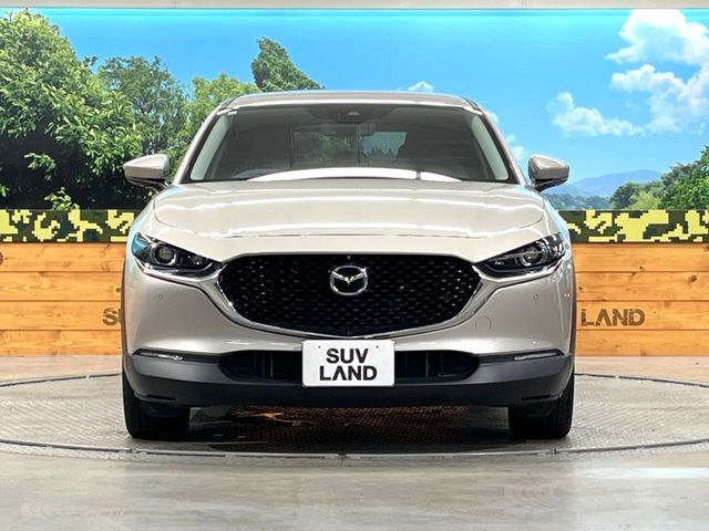 CX-30