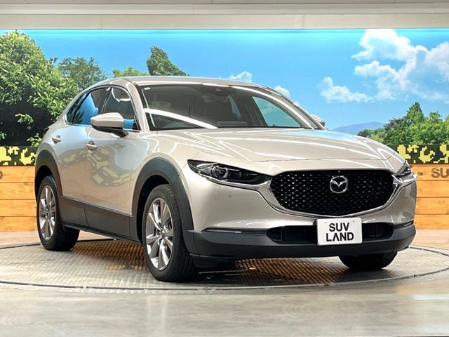 CX-30