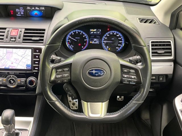 LEVORG