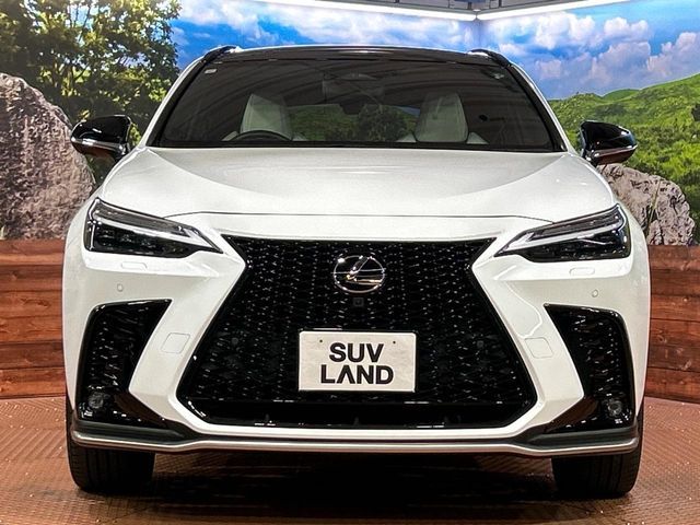 LEXUS NX350h
