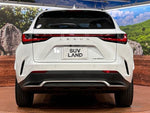 LEXUS NX350h