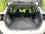RAIZE HYBRID