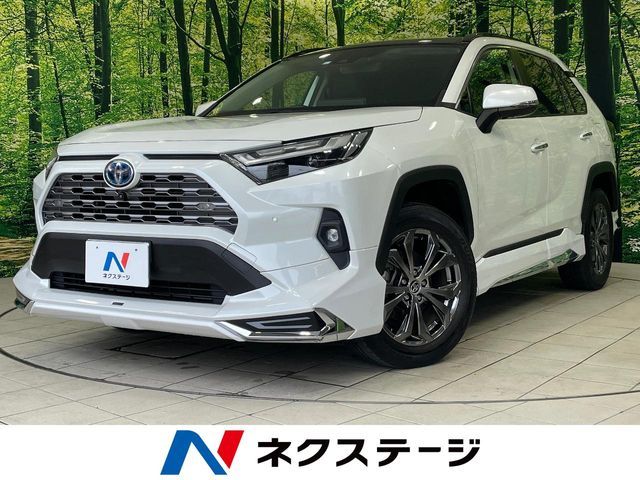 RAV4 HYBRID 4WD