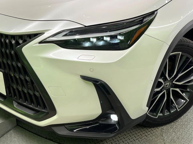 LEXUS NX350h