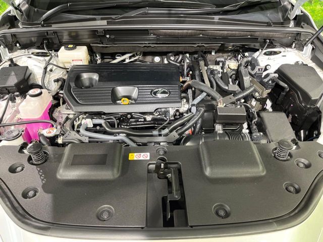 LEXUS NX350h