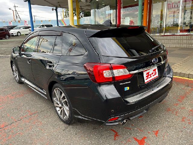 LEVORG