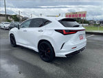 LEXUS NX450h+ AWD