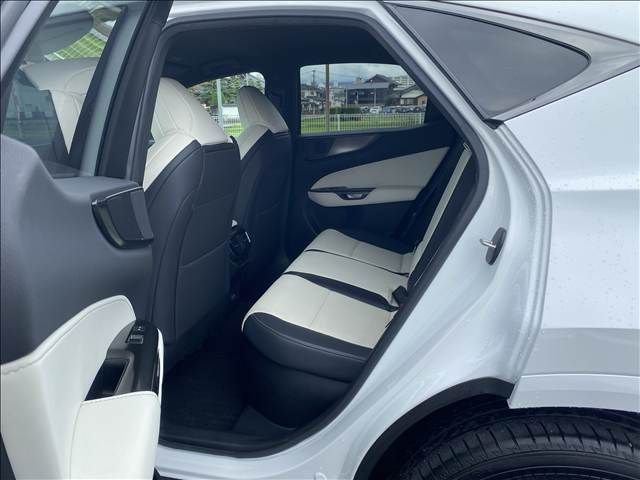 LEXUS NX450h+ AWD