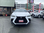 LEXUS NX450h+ AWD