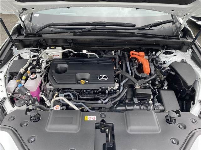 LEXUS NX450h+ AWD