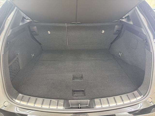 LEXUS NX450h+ AWD