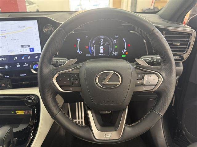 LEXUS NX450h+ AWD