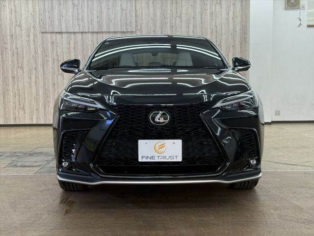 LEXUS NX450h+ AWD