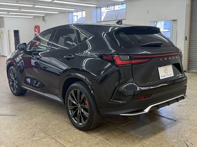 LEXUS NX450h+ AWD